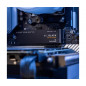 Western Digital SSD WD Black SN7100 500Go