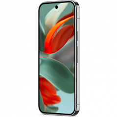 Google Pixel 9 Pro XL 5G 6,8" Vert