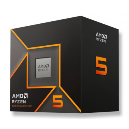 AMD Ryzen 5 9600