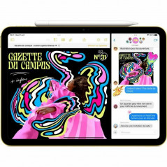 Apple iPad A16 (11'') 5G Gris