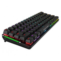 ASUS ROG Falchion clavier FR