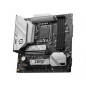 MSI B760M PROJECT ZERO