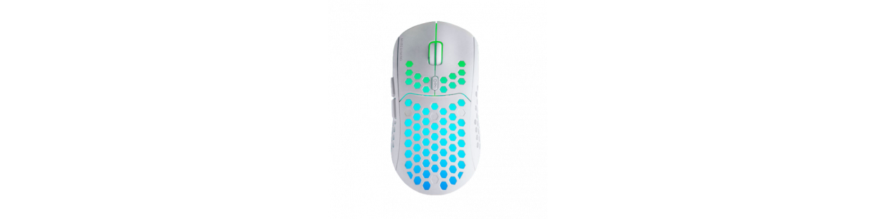 Souris Gamer