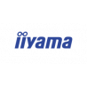 IIYAMA
